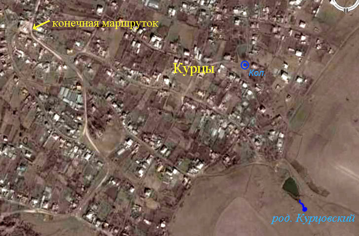 Фото из космоса села Курцы