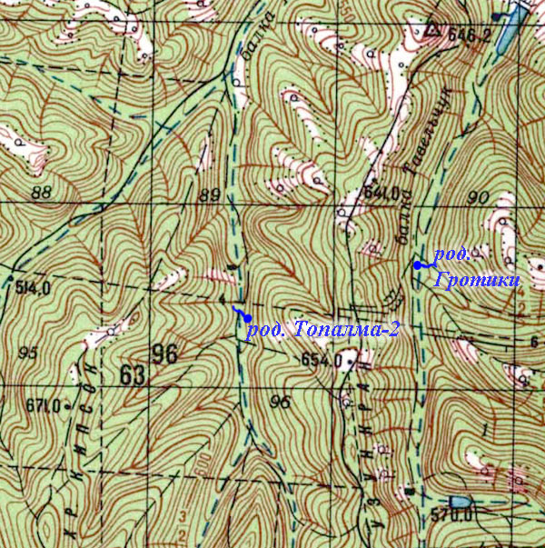 Фрагмент карты райна юго-западнее села Краснолесья