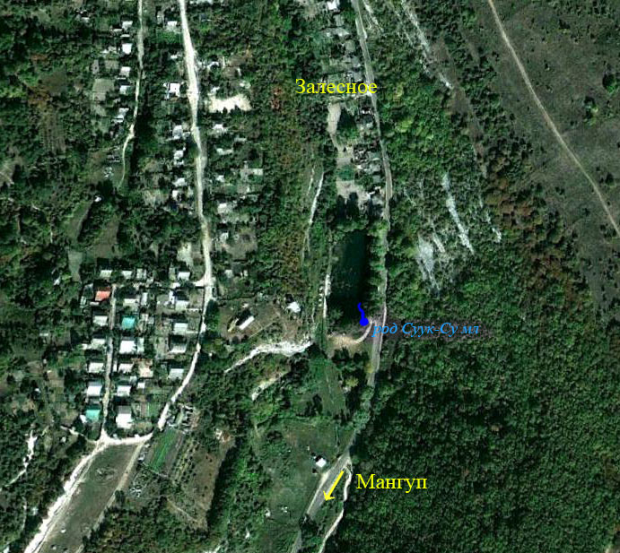 Фотография из космоса южной околицы села Залесного