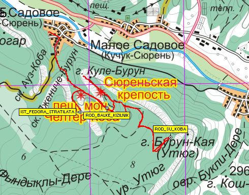 Фрагмент карты района Сюреньской крепости